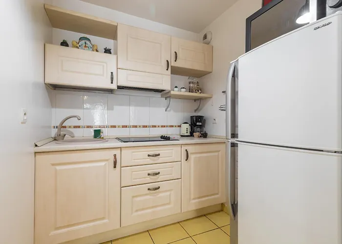 1 Bedroom Downtown Carre D'or With Garage Apartment *